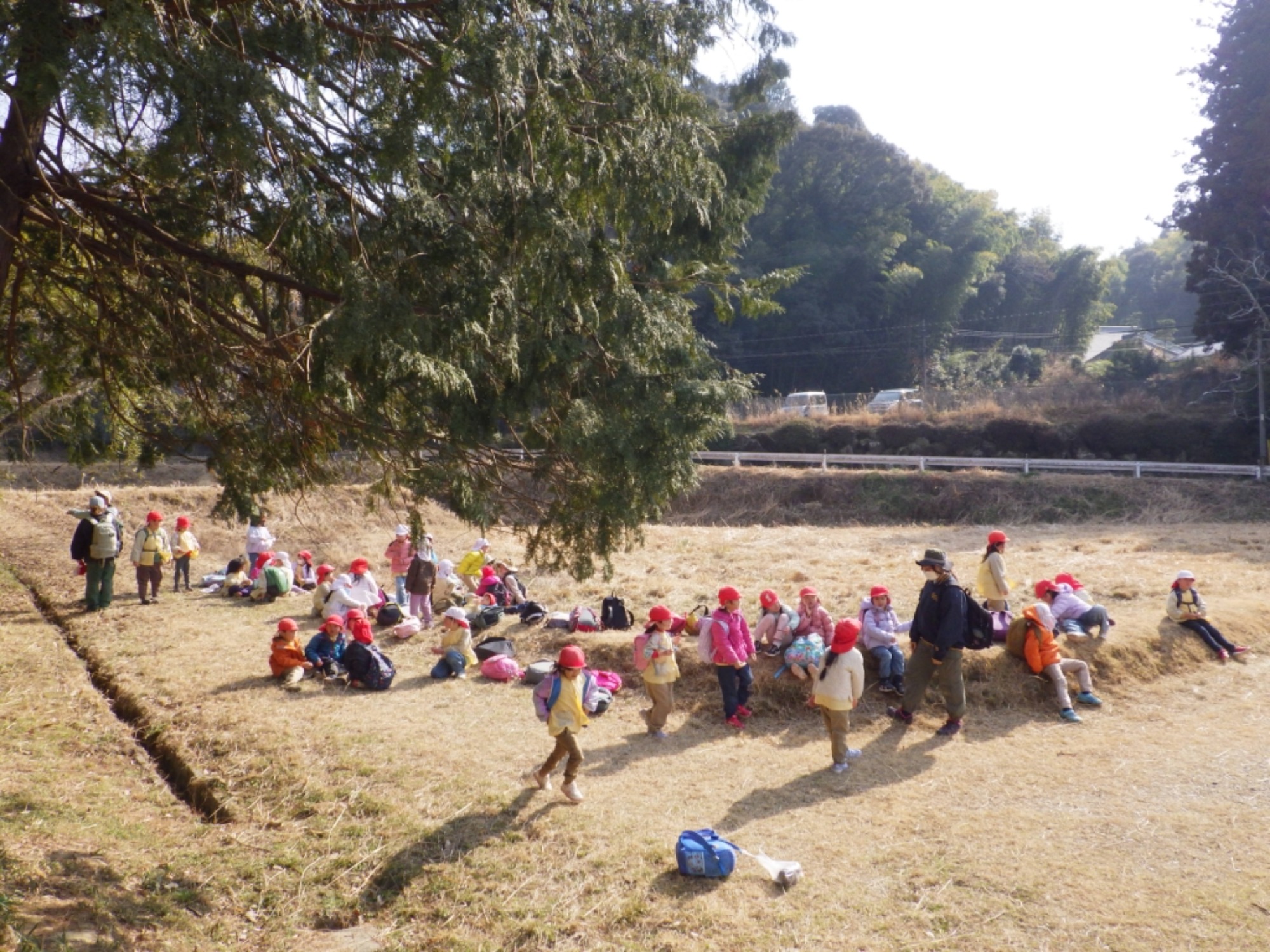 【年長】2/16 村積山 園外保育(4/4)