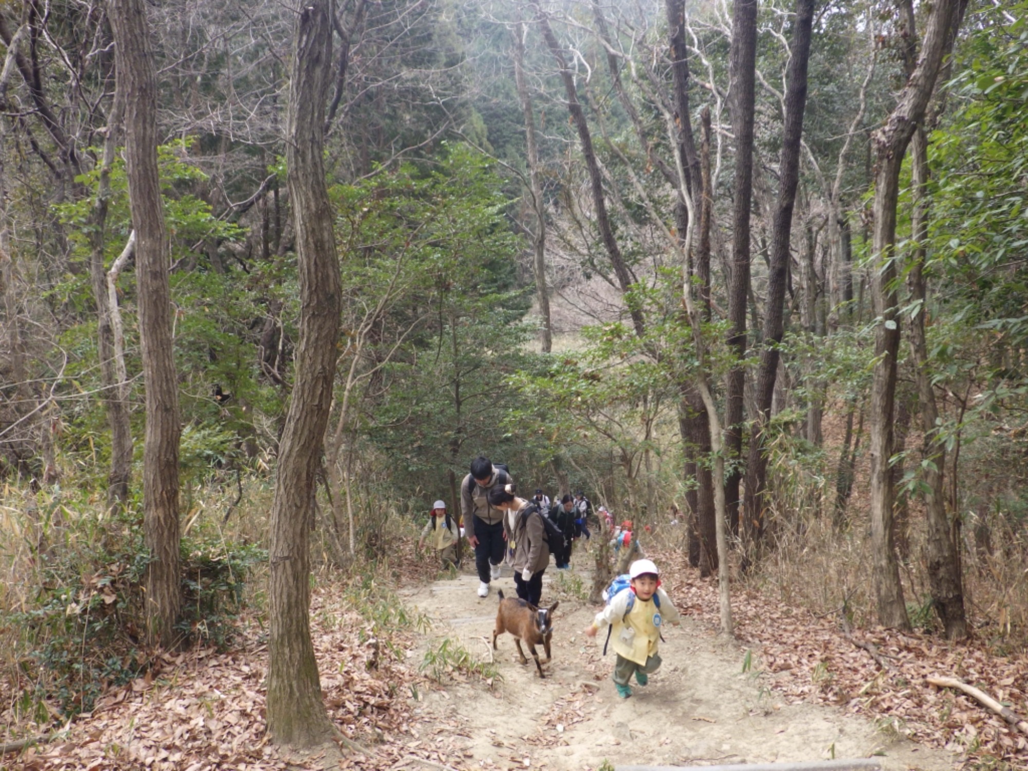 【年長】2/24　村積山　お別れ園外保育（1/2）
