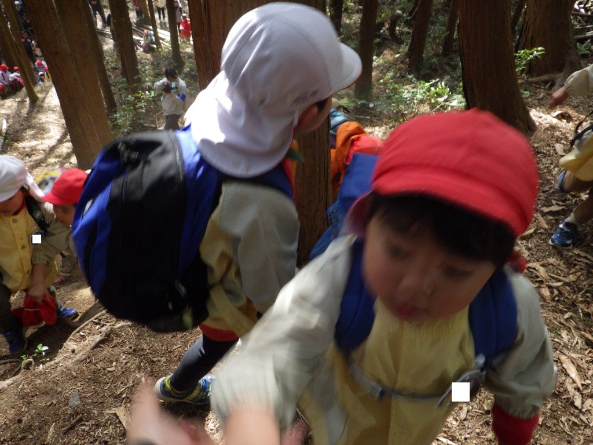 【年長】2/24　村積山　お別れ園外保育（2/2）