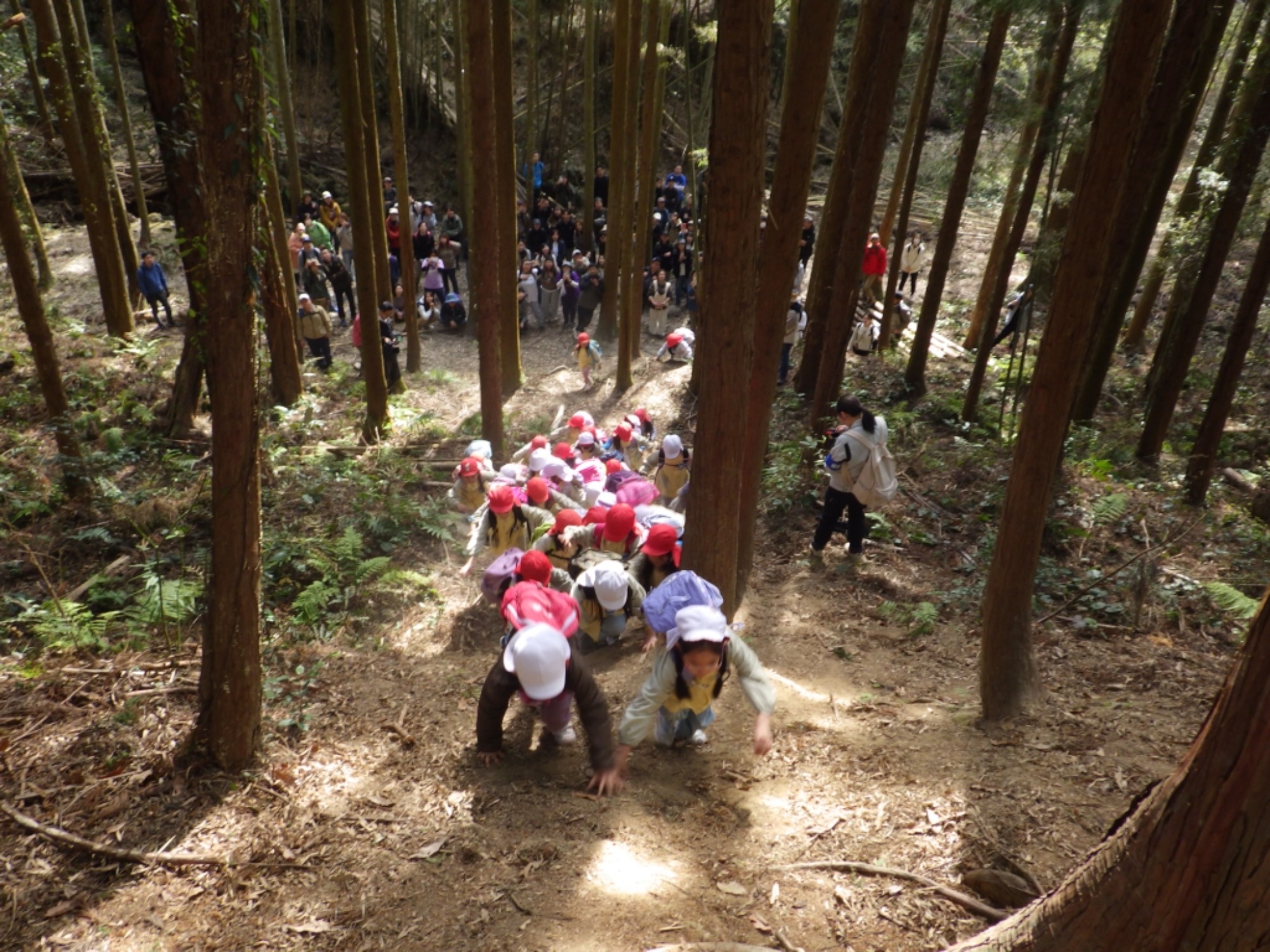 【年長】2/24　村積山　お別れ園外保育（2/2）