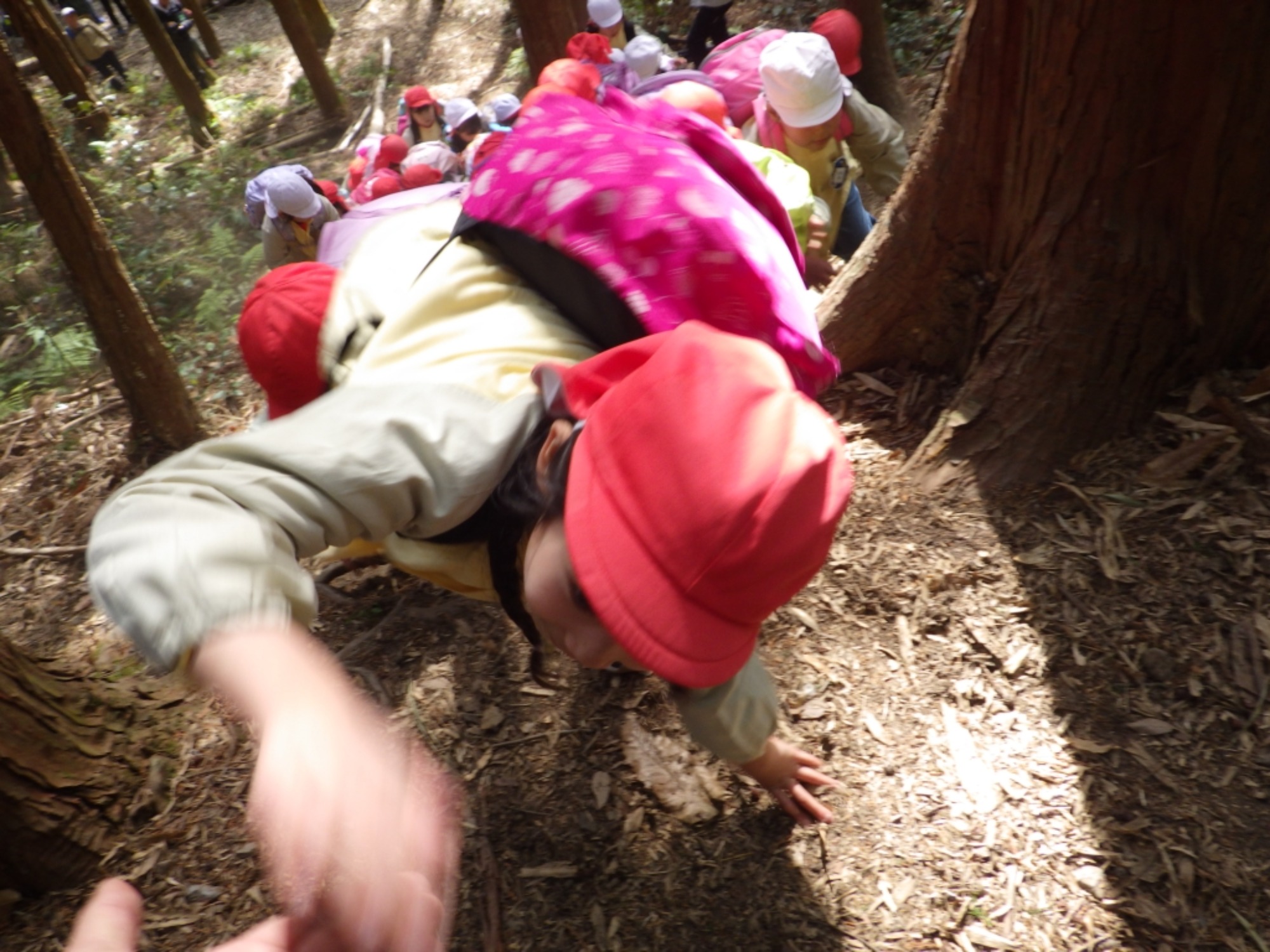 【年長】2/24　村積山　お別れ園外保育（2/2）