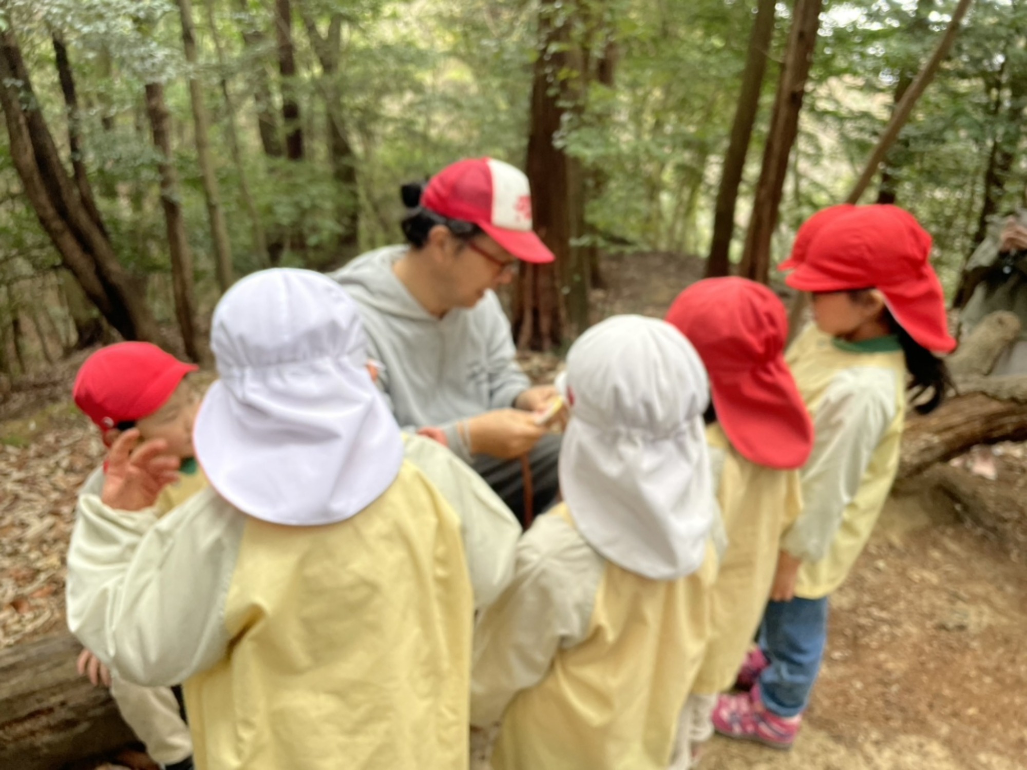  【年少】2/27　村積山　お別れ園外保育（1/3）