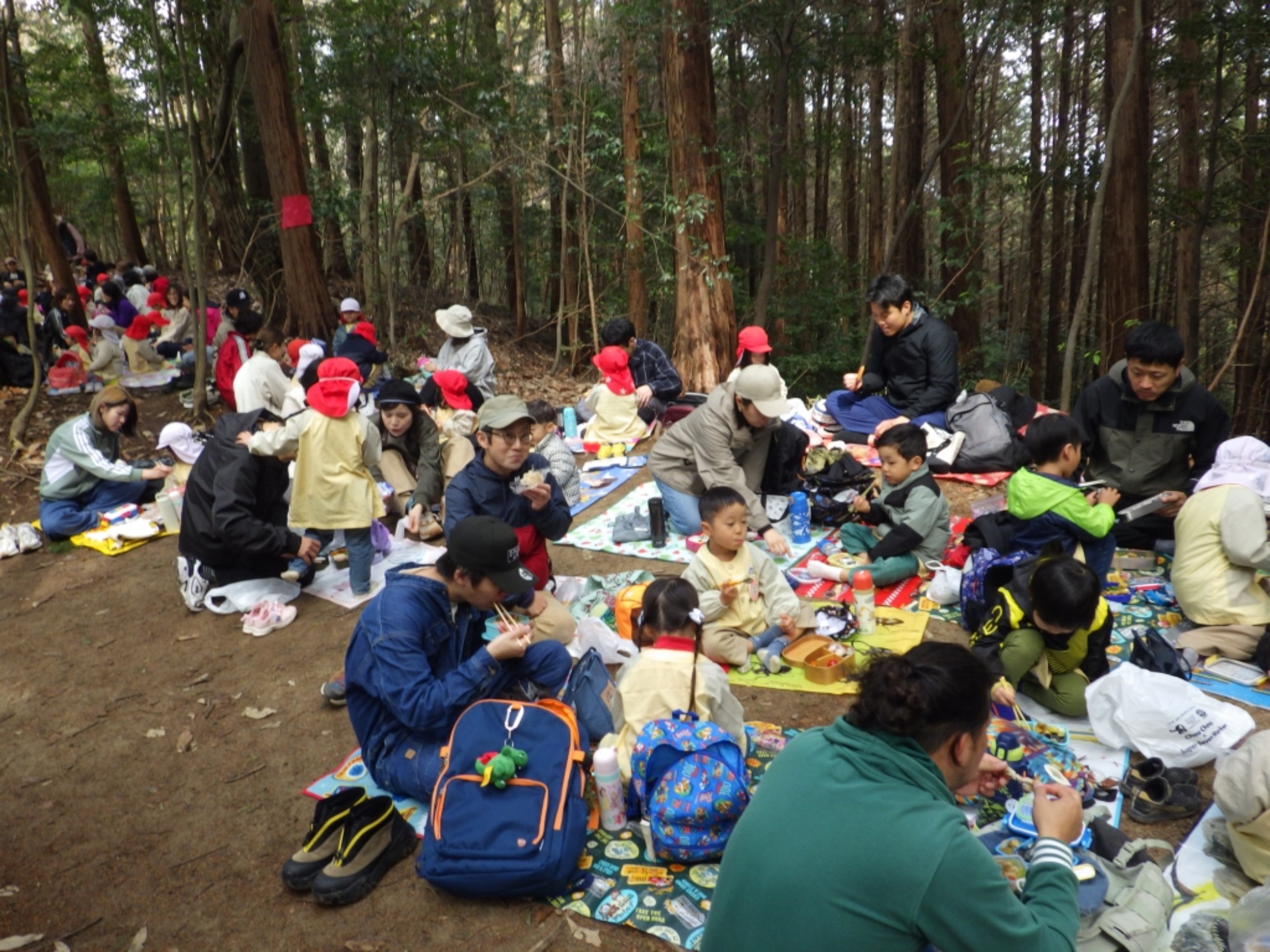  【年少】2/27　村積山　お別れ園外保育（1/3）