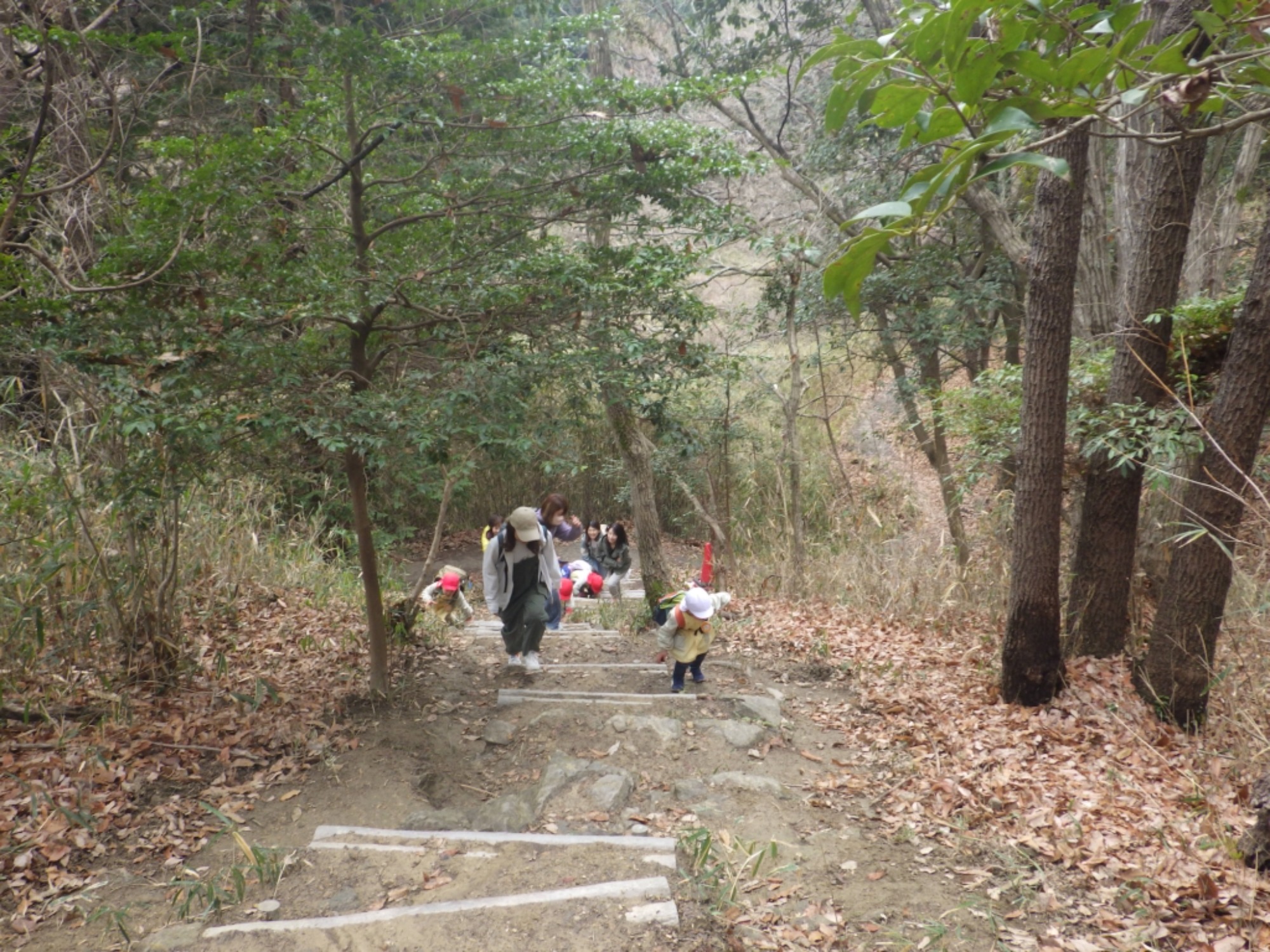  【年少】2/27　村積山　お別れ園外保育（1/3）