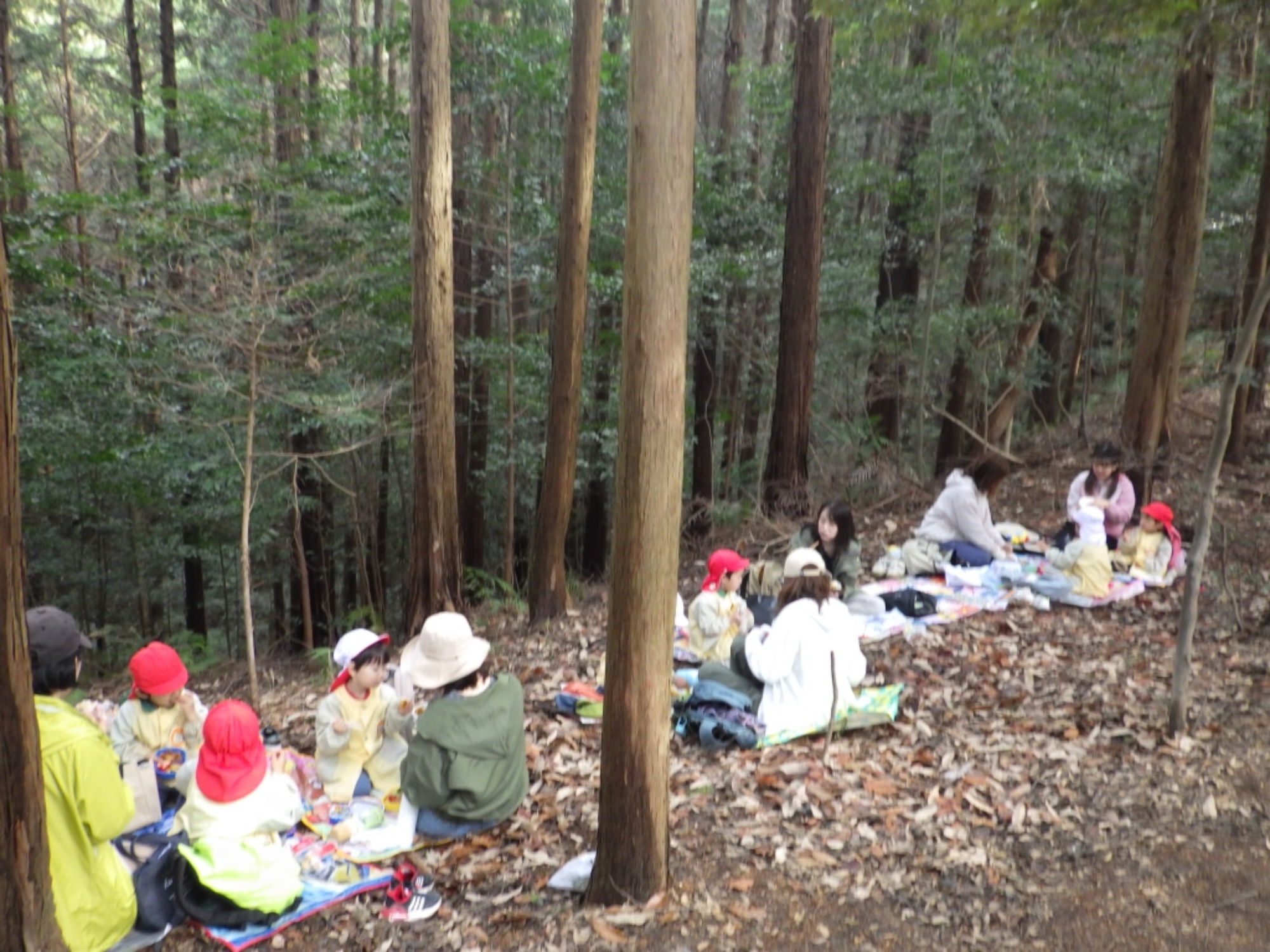  【年少】2/27　村積山　お別れ園外保育（2/3）