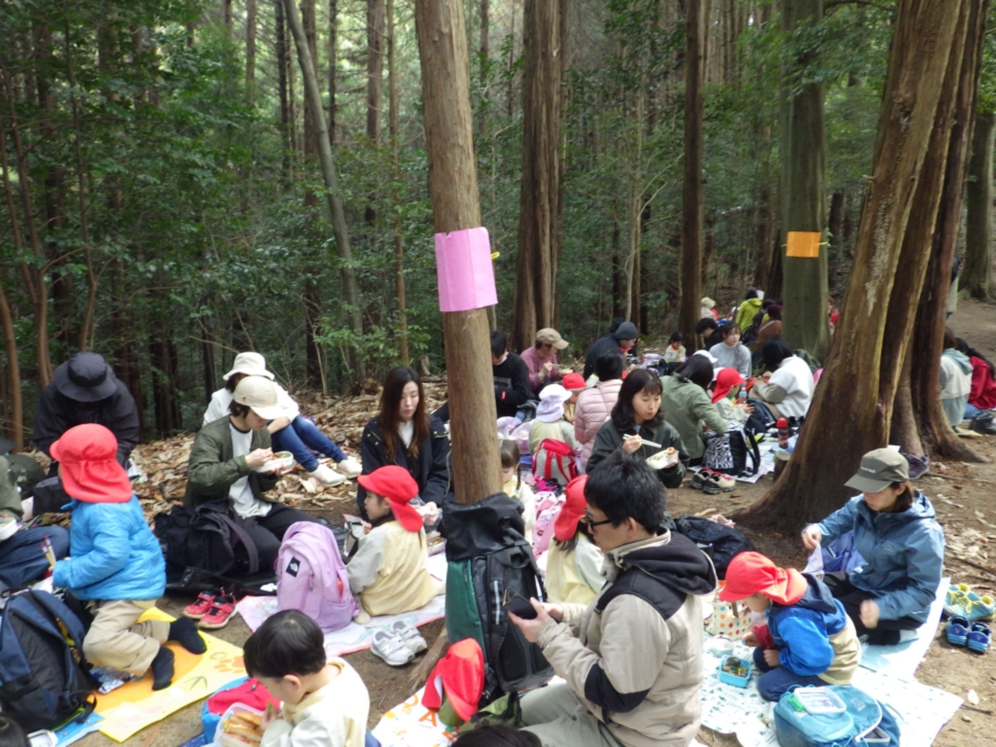 【年少】2/27 村積山 お別れ園外保育(2/3)