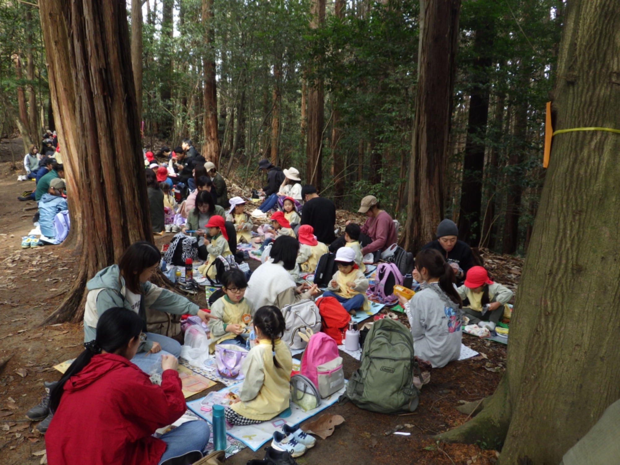 【年少】2/27 村積山 お別れ園外保育(2/3)