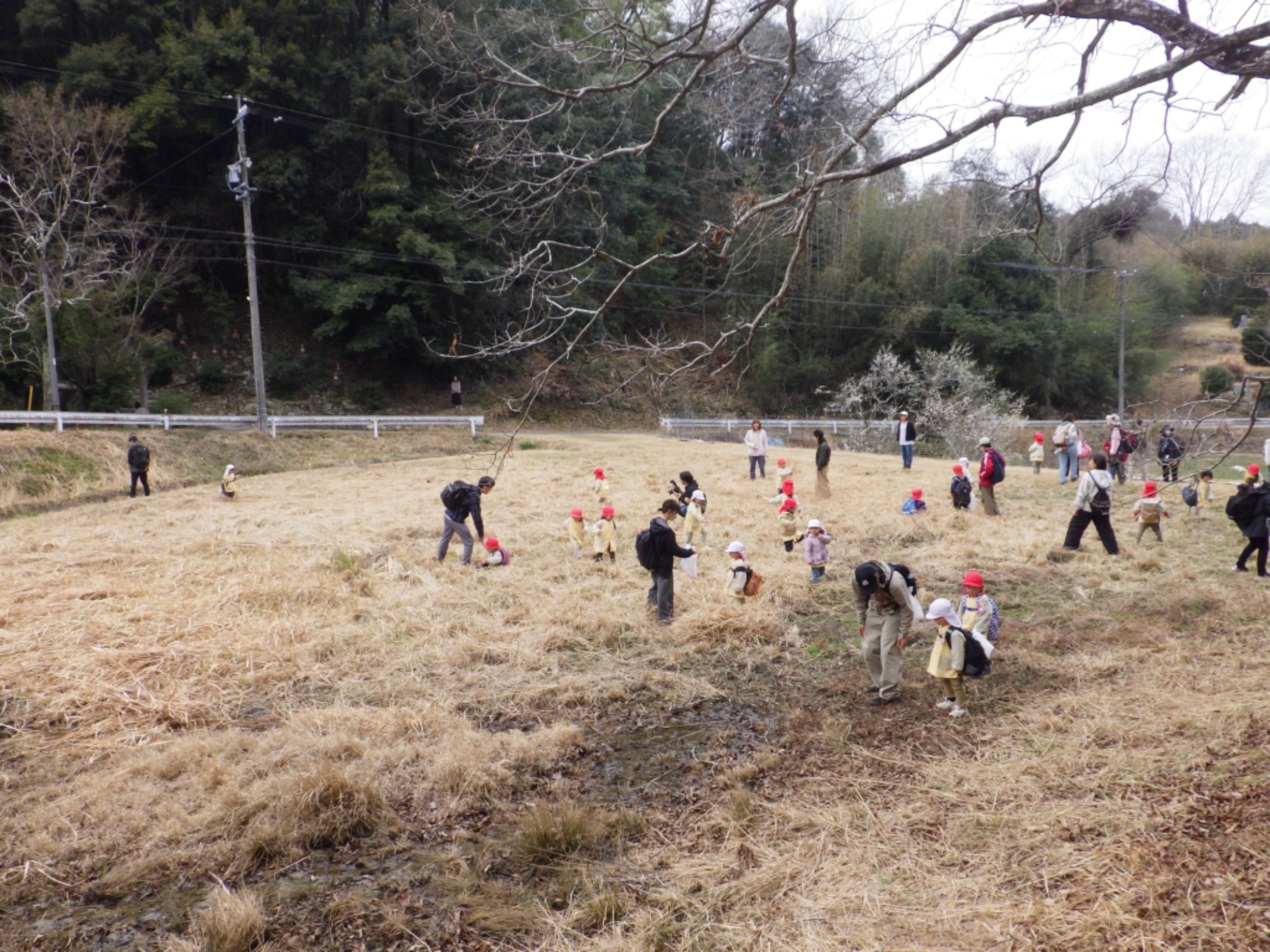 【年少】2/27 村積山 お別れ園外保育(3/3)