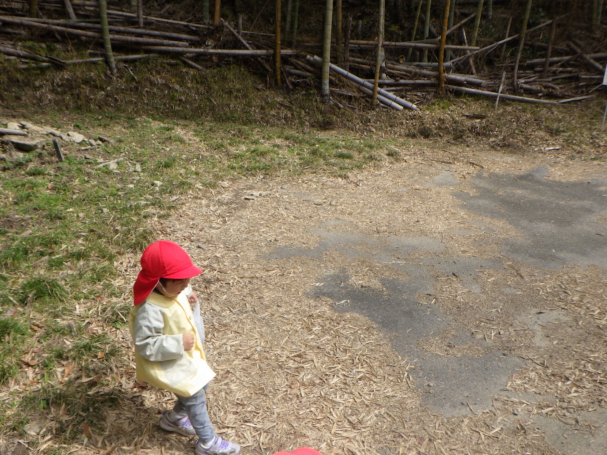 【くも】3/2　村積山　園外保育