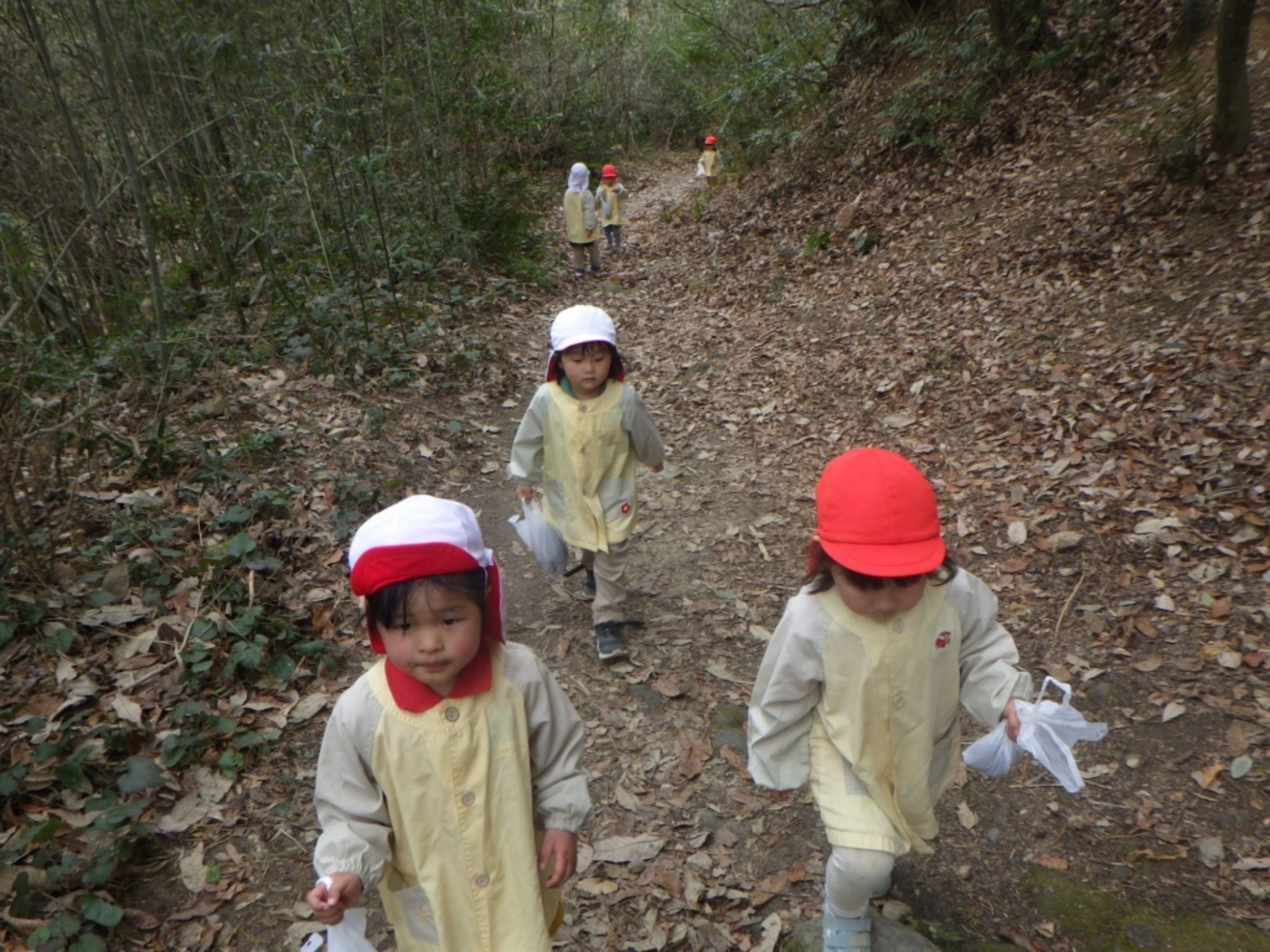 【くも】3/2　村積山　園外保育