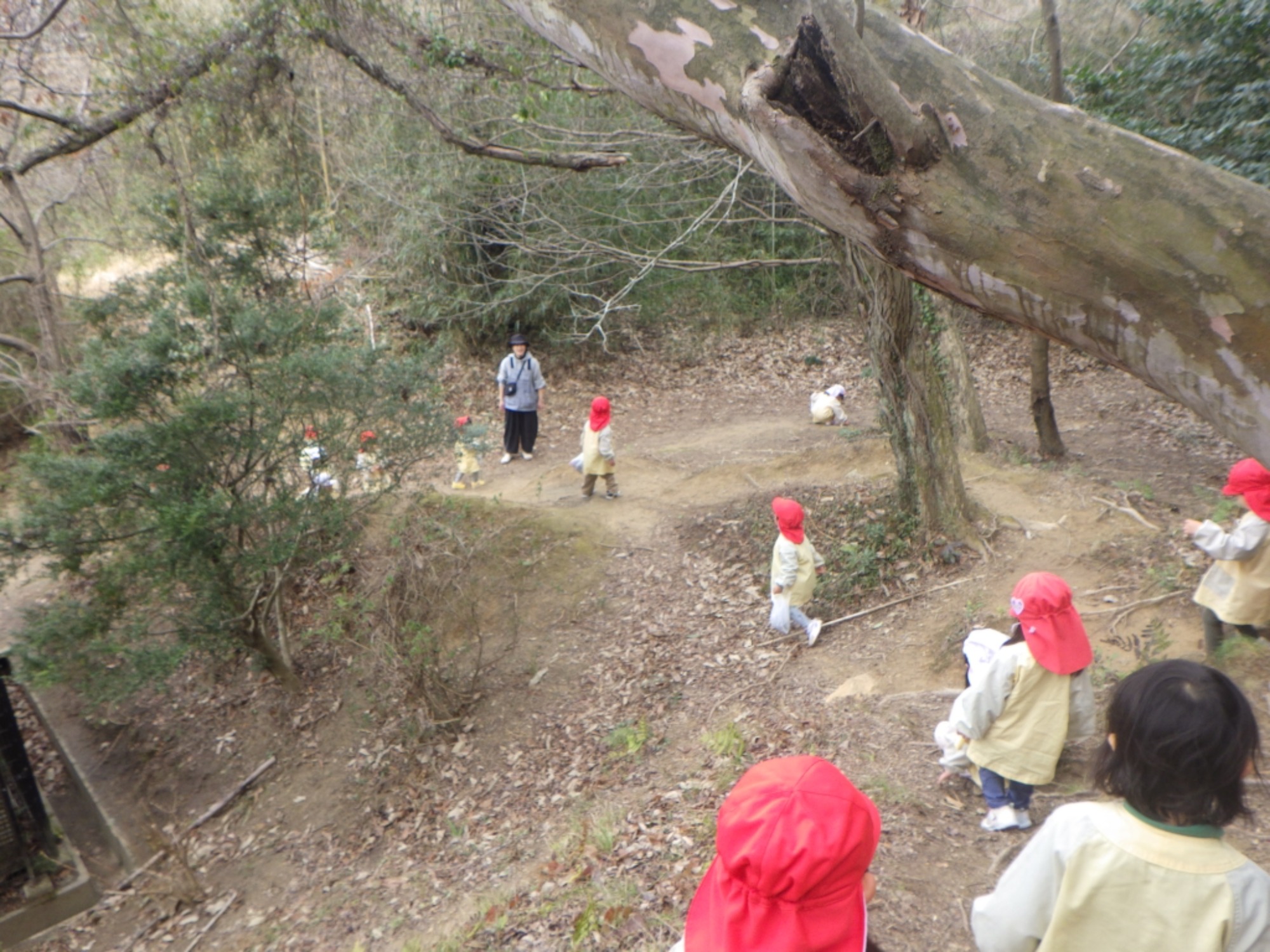 【くも】3/2　村積山　園外保育