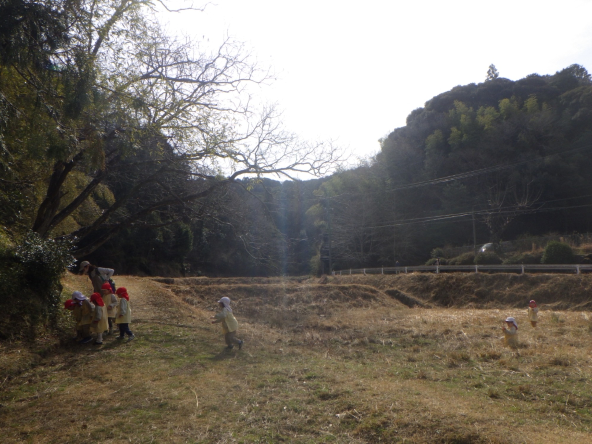 【くも】3/2　村積山　園外保育