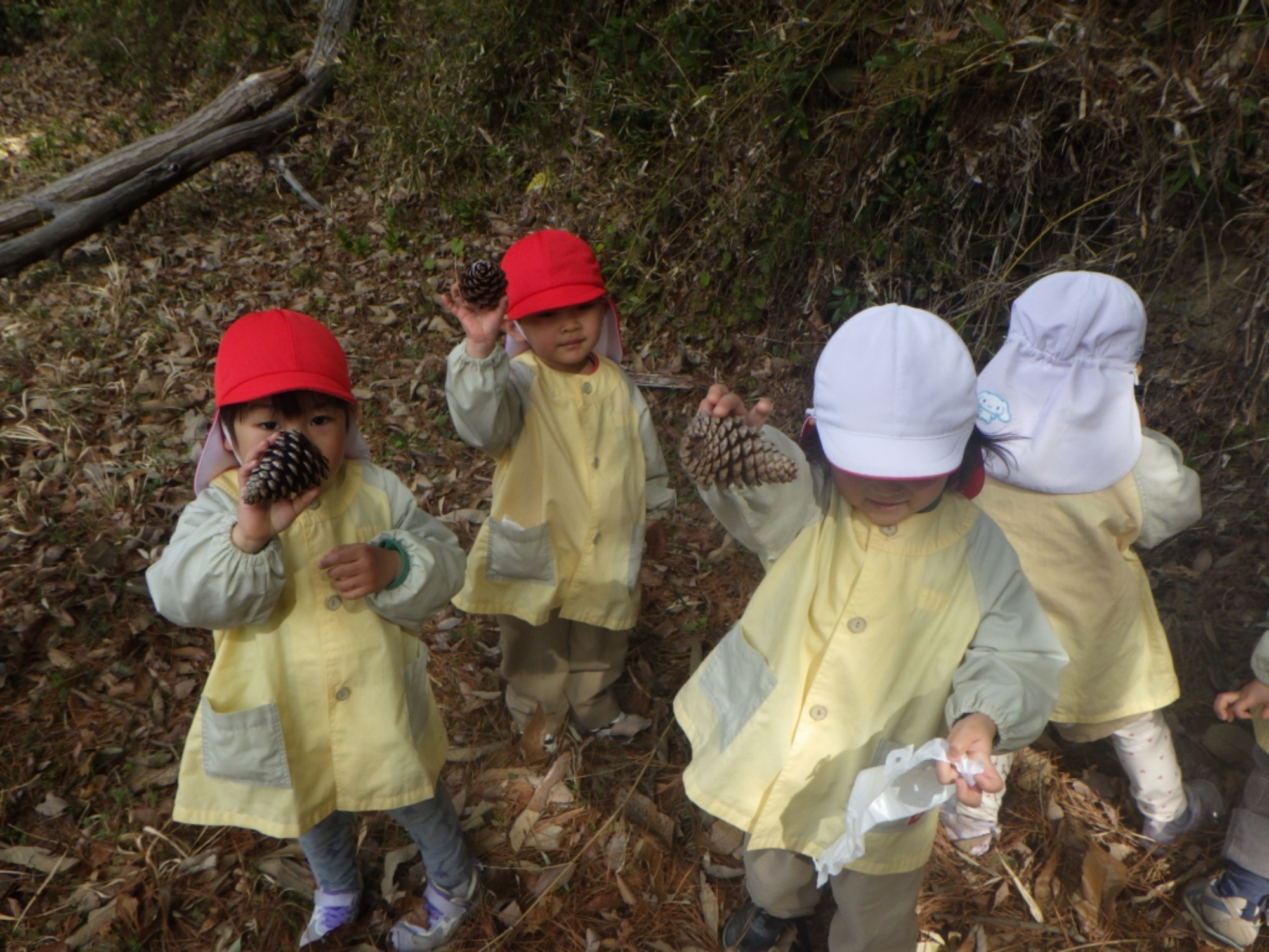 【くも】3/2　村積山　園外保育