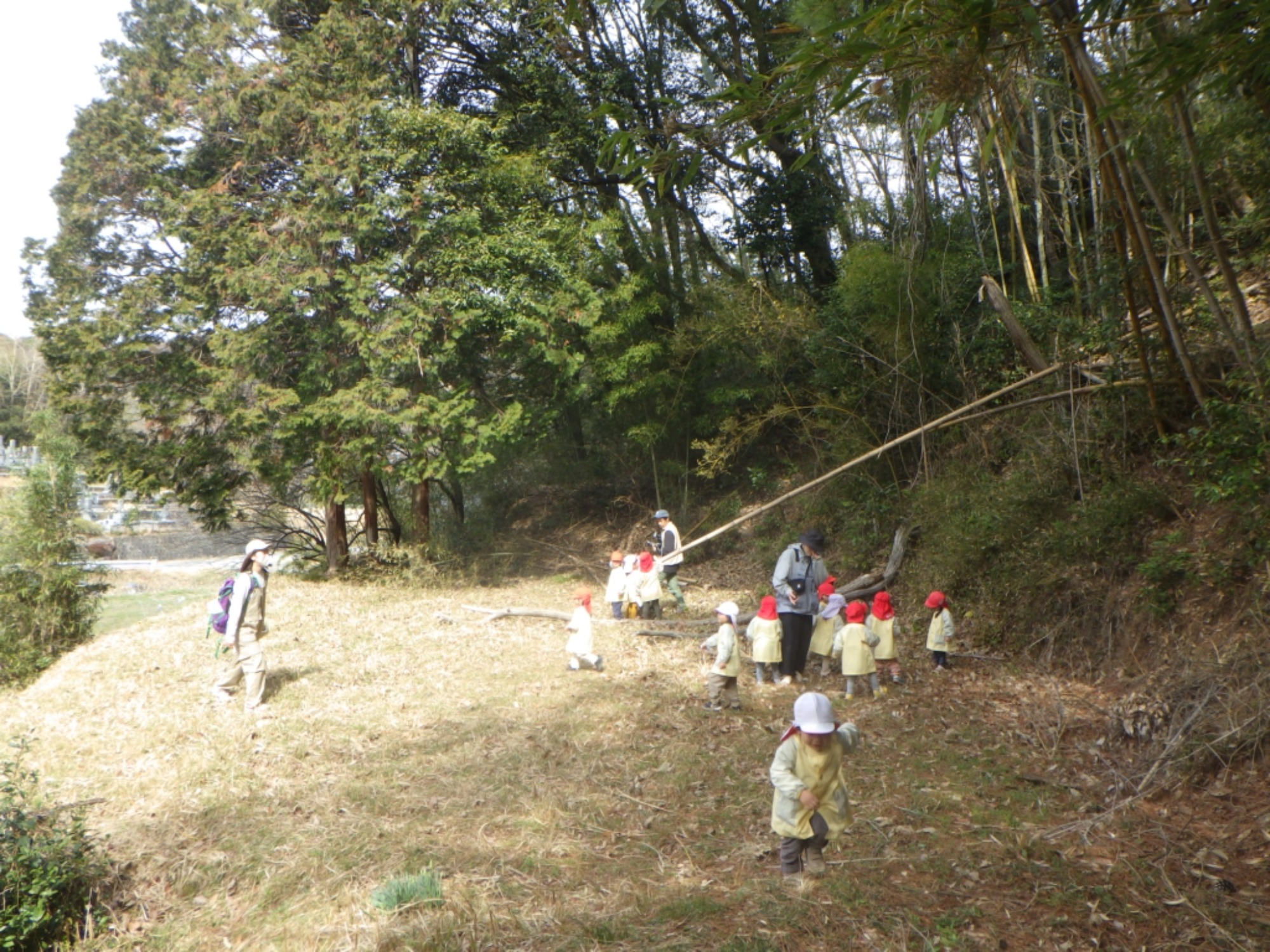 【くも】3/2　村積山　園外保育