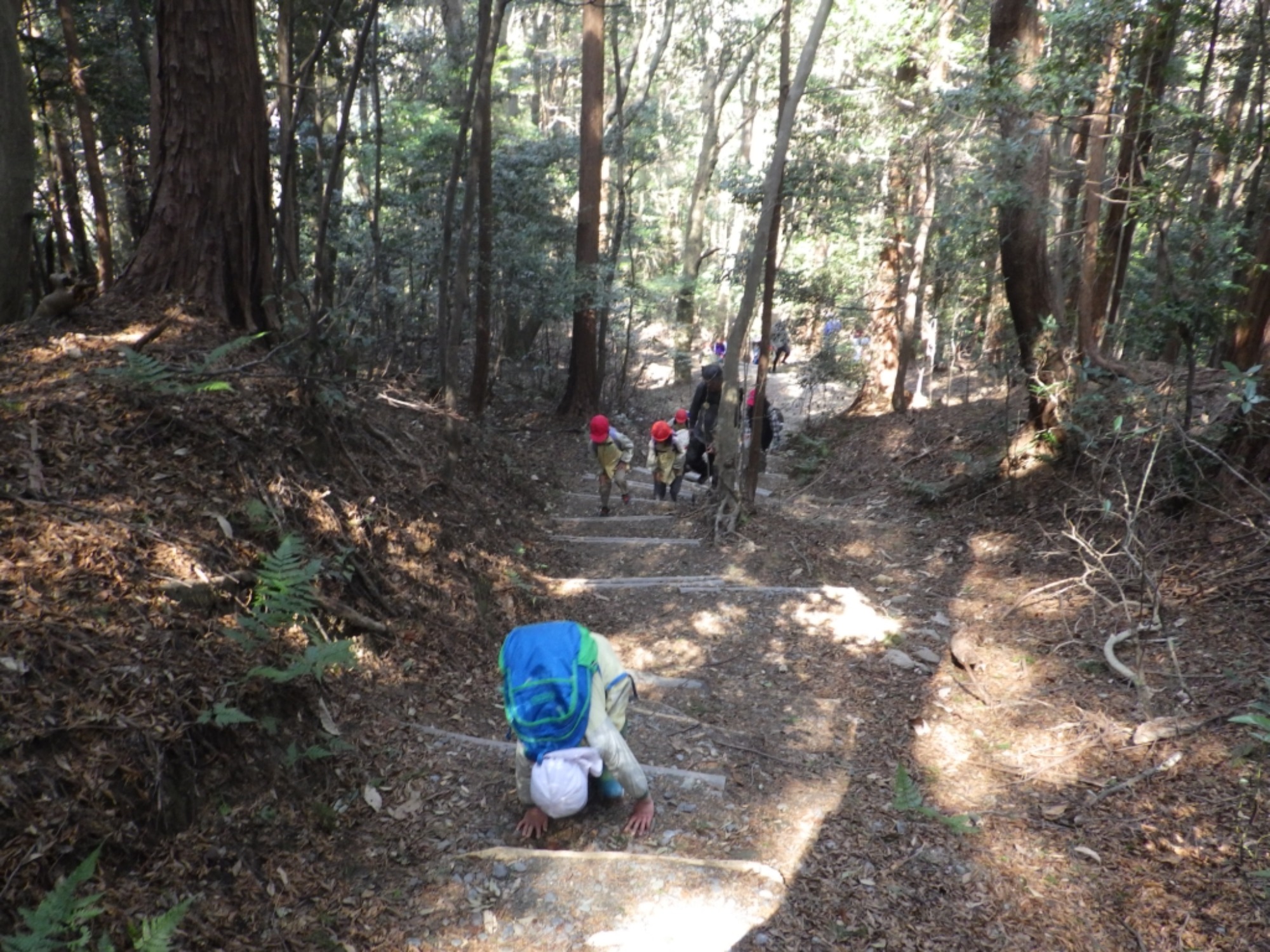 【年中】3/5　村積山　お別れ園外保育（1/3）