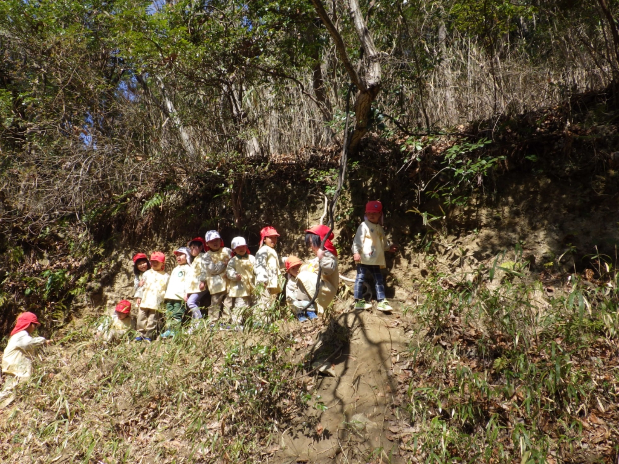 【年中】3/5　村積山　お別れ園外保育（1/3）