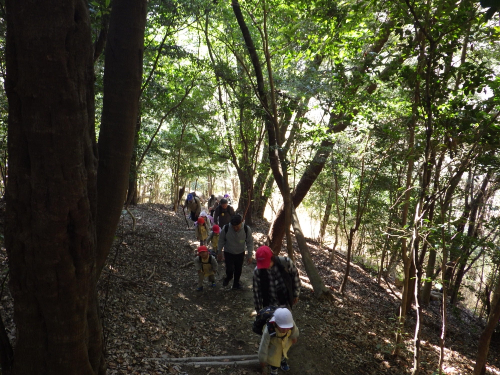 【年中】3/5　村積山　お別れ園外保育（1/3）