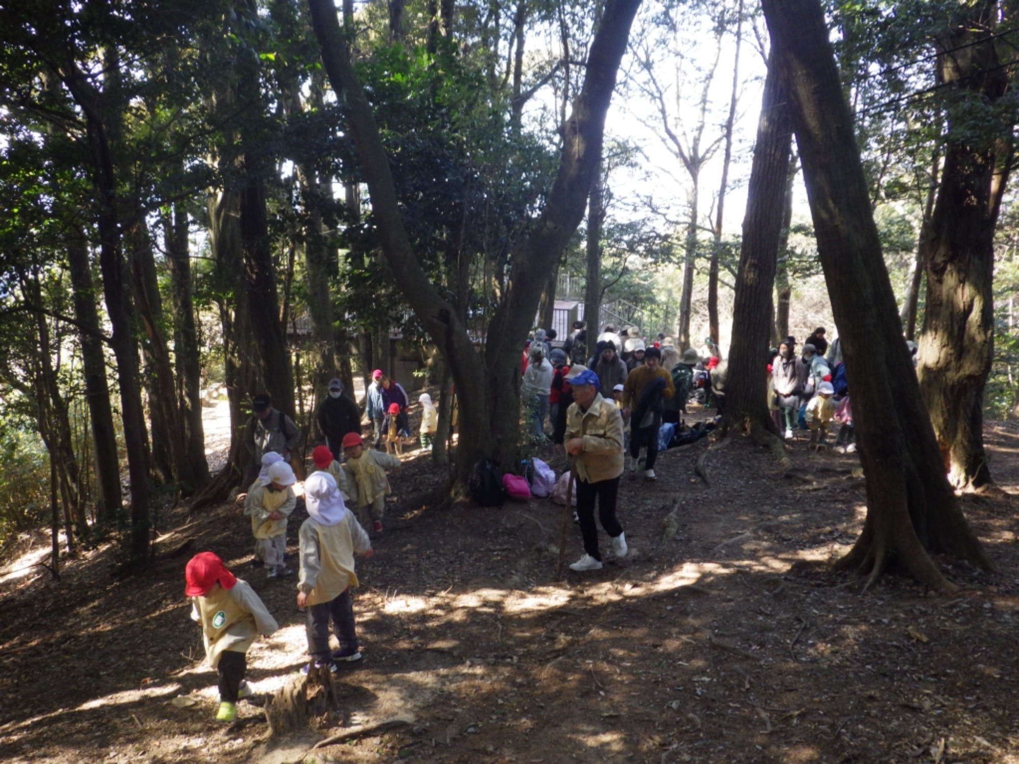 【年中】3/5　村積山　お別れ園外保育（2/3）