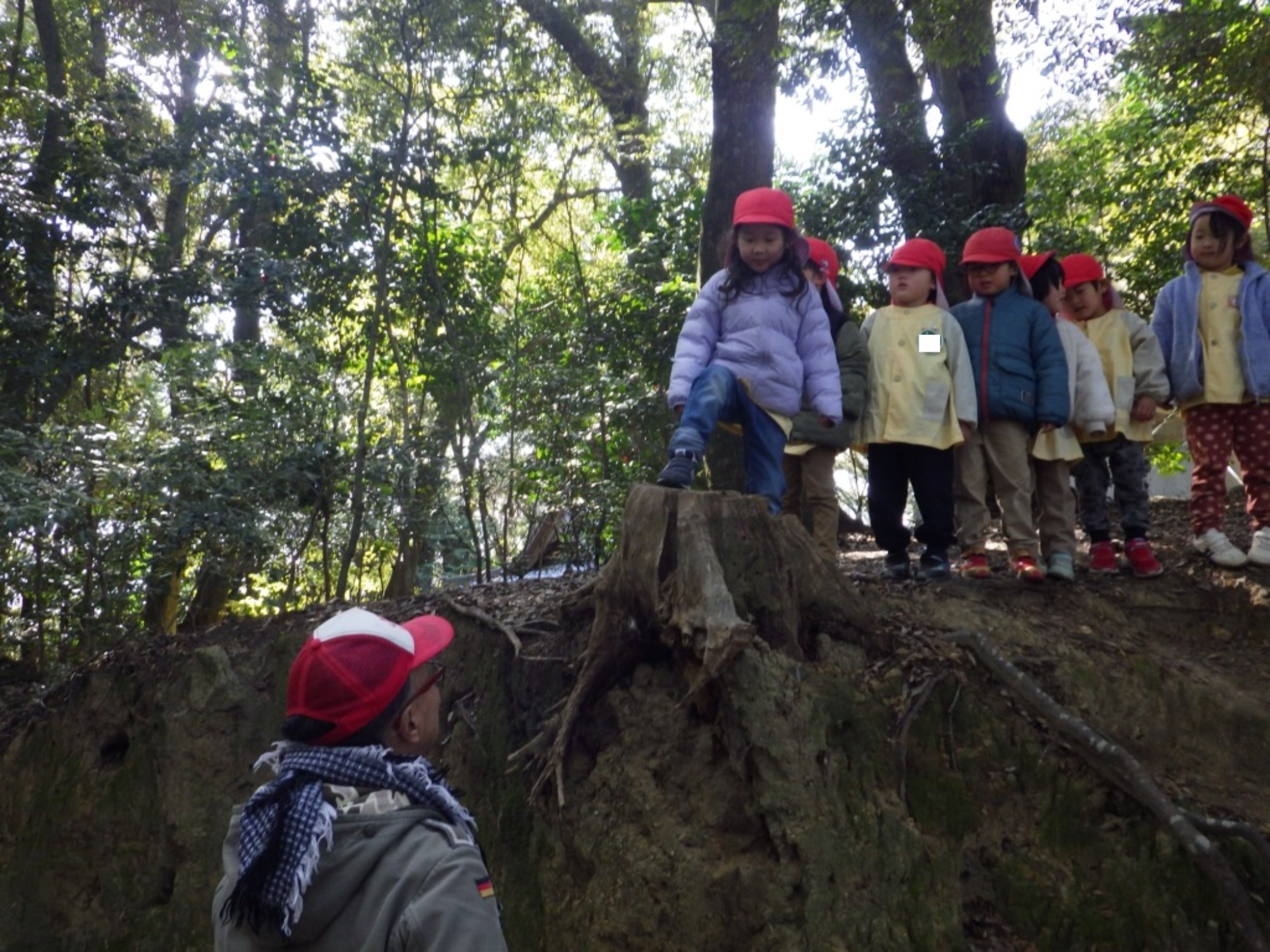 【年中】3/5　村積山　お別れ園外保育（3/3）