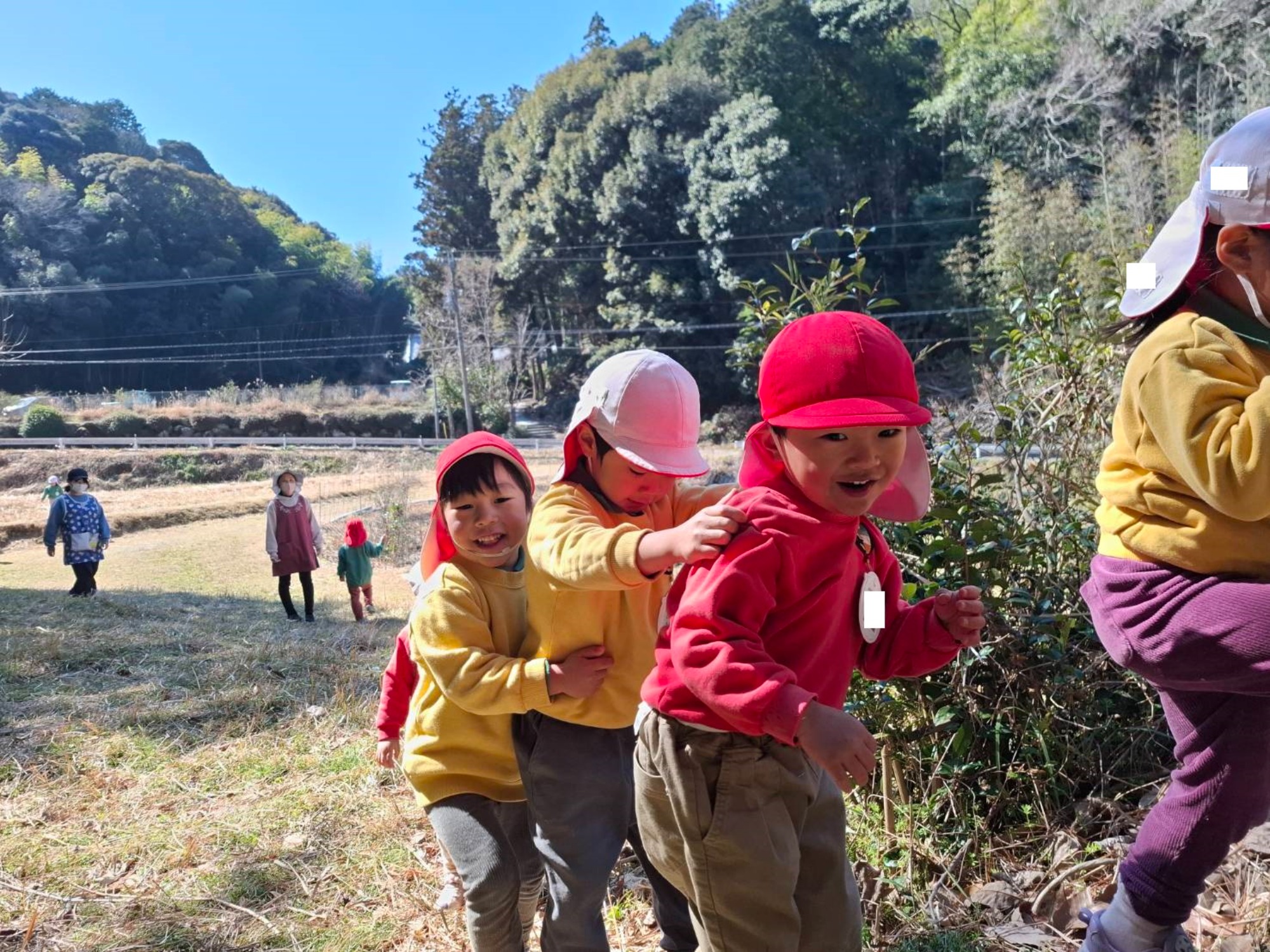 最近のくもぐみさん