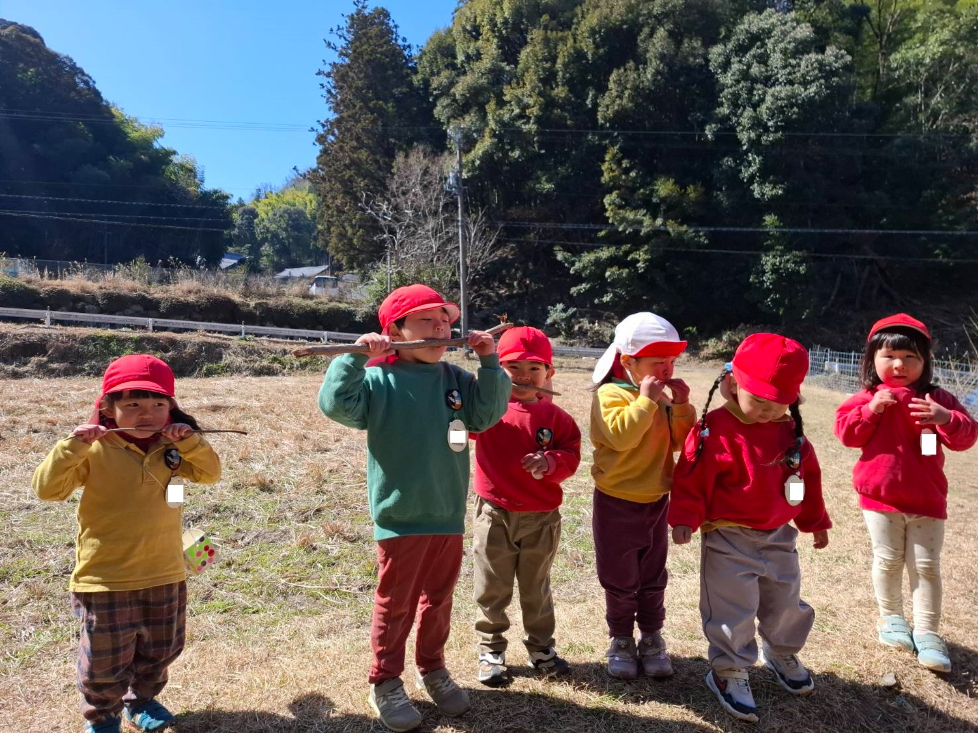 最近のくもぐみさん