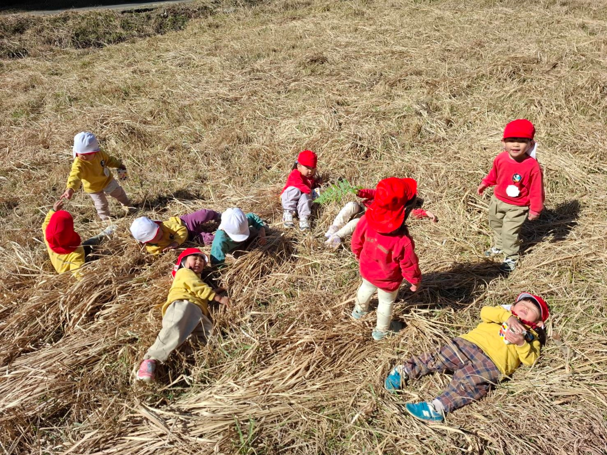 最近のくもぐみさん