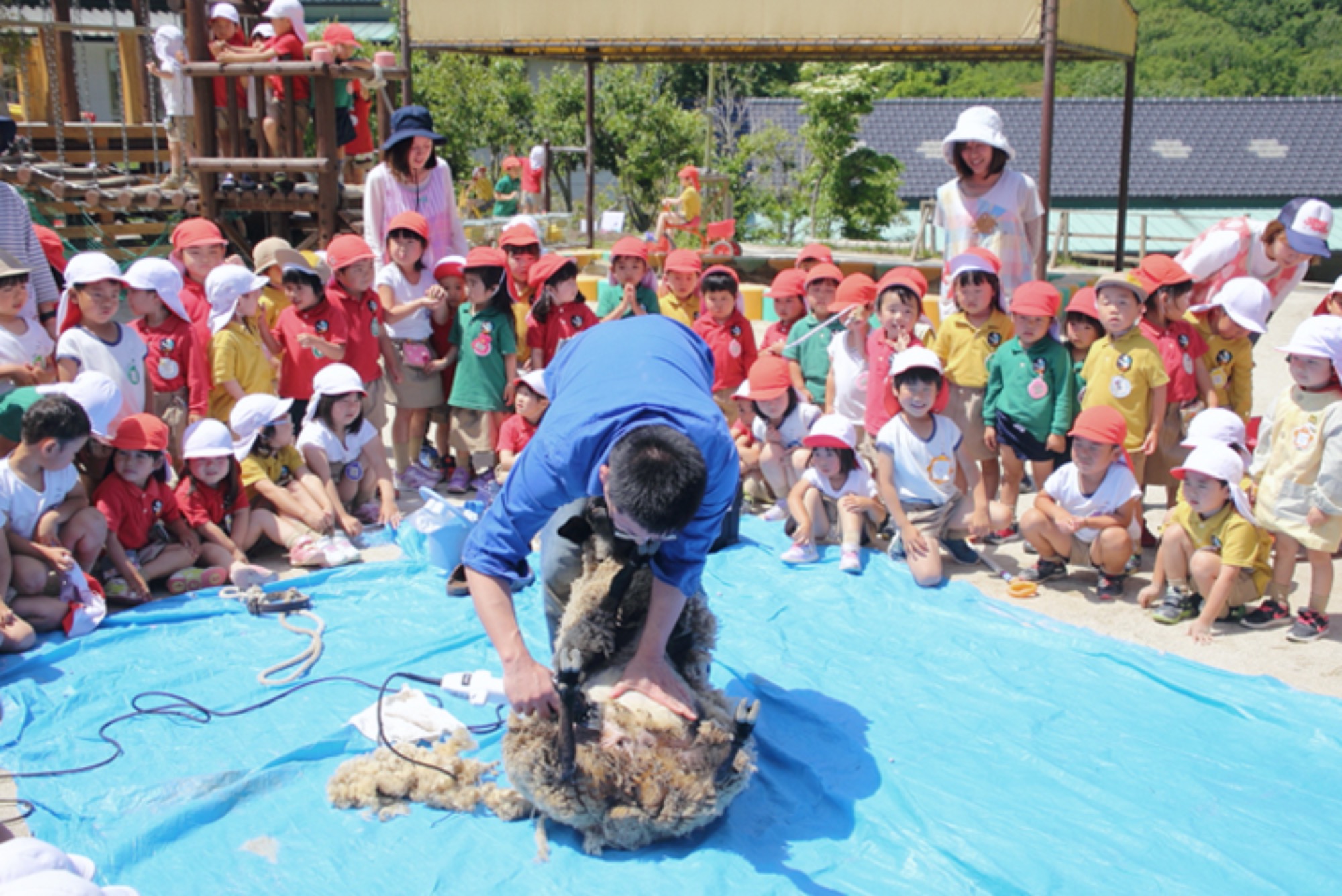 遊びの庭・動物の庭