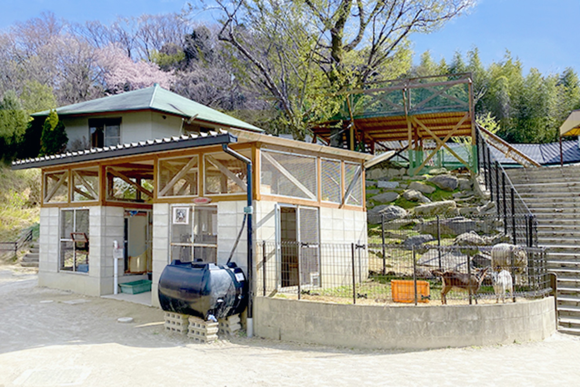 遊びの庭・動物の庭