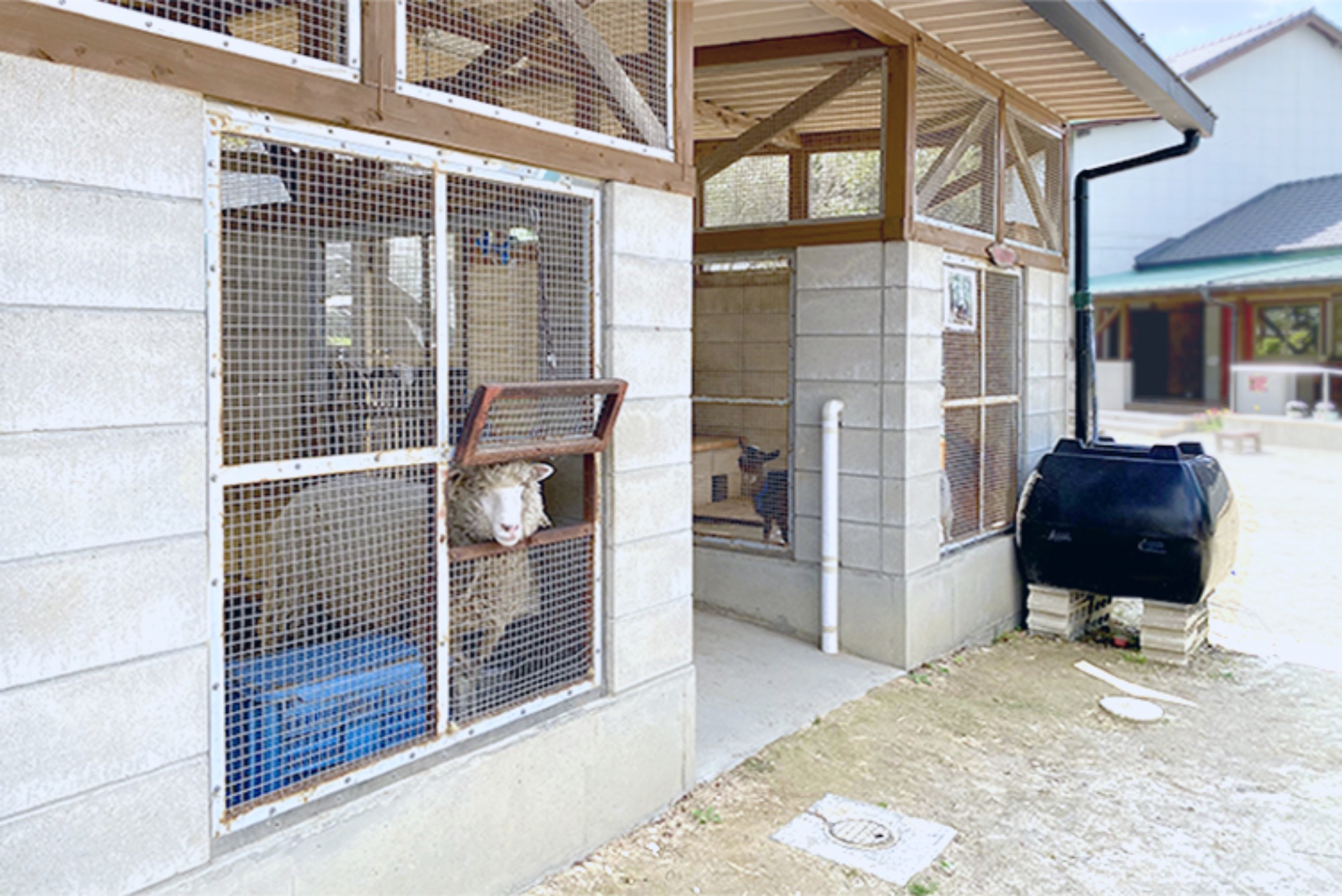 遊びの庭・動物の庭